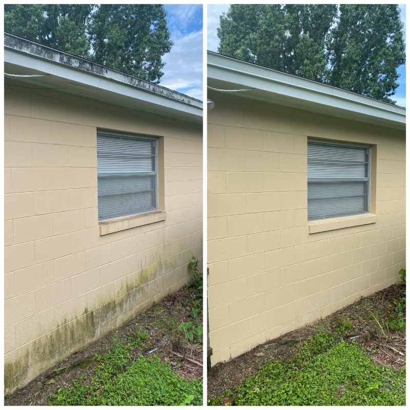 Wall Pressure Washing