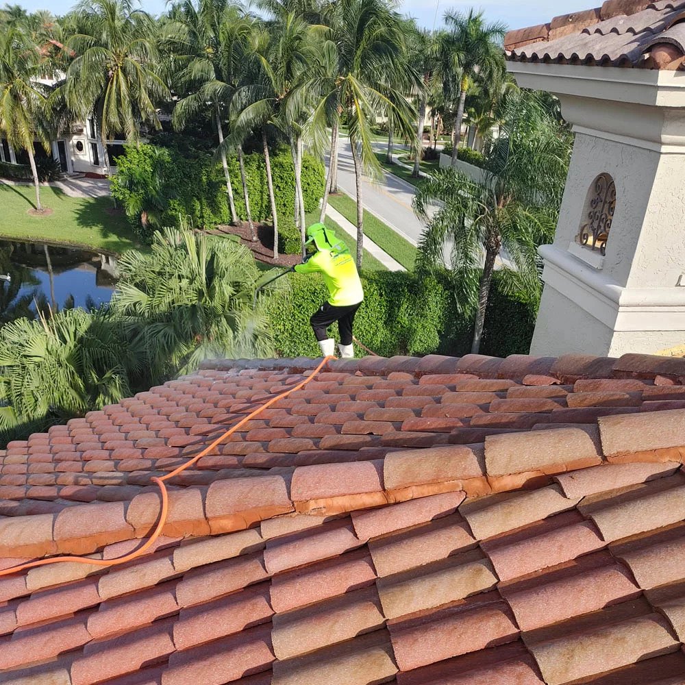 Roof Pressure Washing